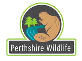 Perthshirewildlife