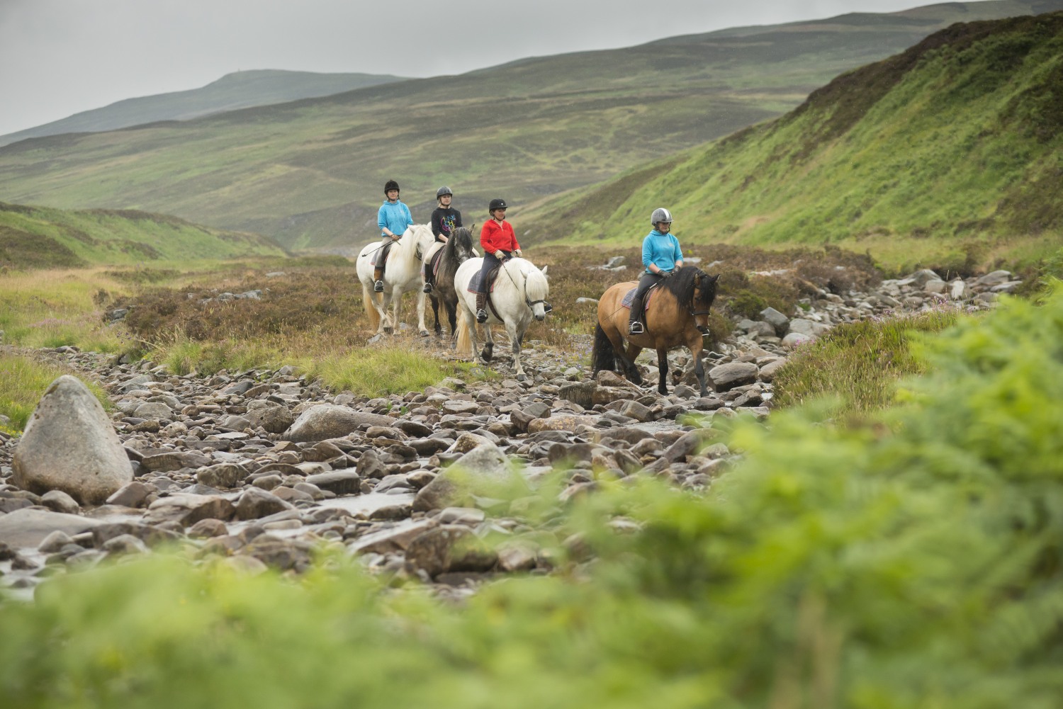 Wild Scotland Pony Trekking & Horse Riding in Scotland