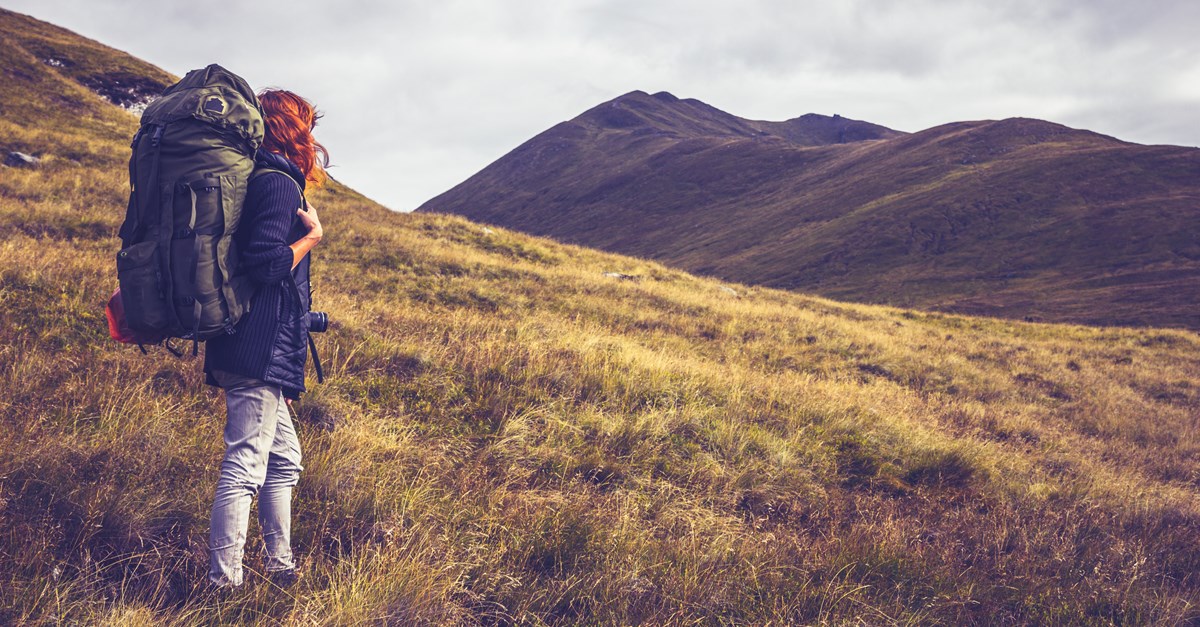 Wild Scotland - Forest & Land Activities